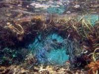 /album/fotogaleria-galeria/fotos-prezi-comprimidas-38-jpg1/